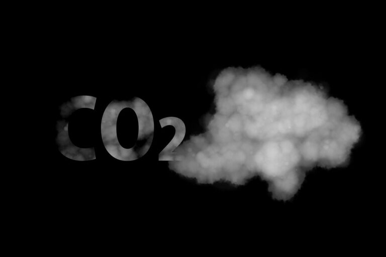 Die CO2 Bepreisung könnte viele Probleme lösen!