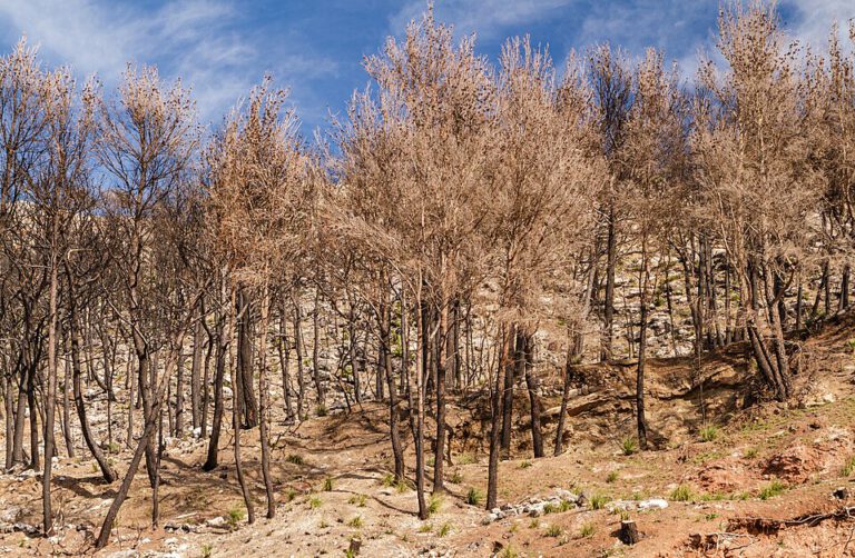 Klima! Who cares? We care.