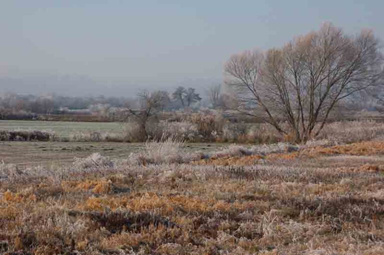 Listenaufstellung für Offenberg