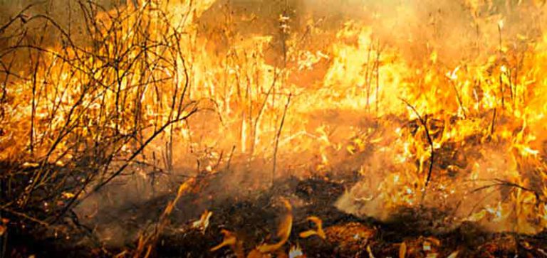 Die Klimakrise ist real