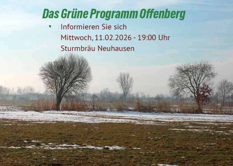 Unser Grünes Programm zur Kommunalwahl Offenberg
